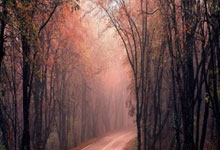 湖人:给强队找不足,给弱队找信心!祖尼尔:擎天白玉柱,架海紫金梁!.