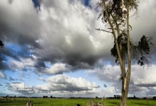 南洋杯世界围棋大师赛决赛:王星昊首局告负.