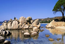 共同见证这一刻!火炬手用智能仿生手点燃主火炬央视新闻微博.